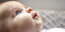 Linguagem oral de bebês é tema de pesquisa